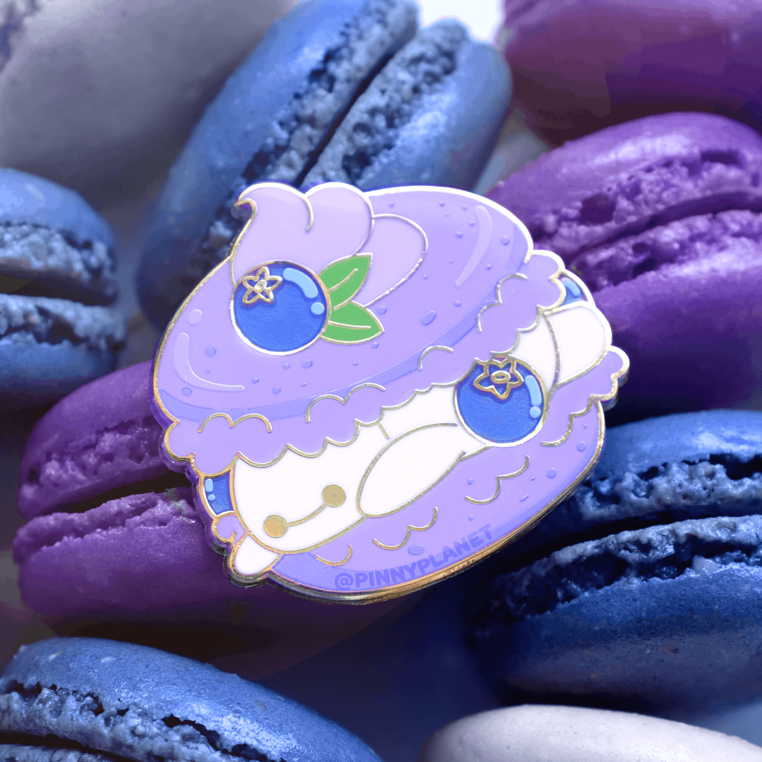 BlueberryMacaron_Photo2c (1).png