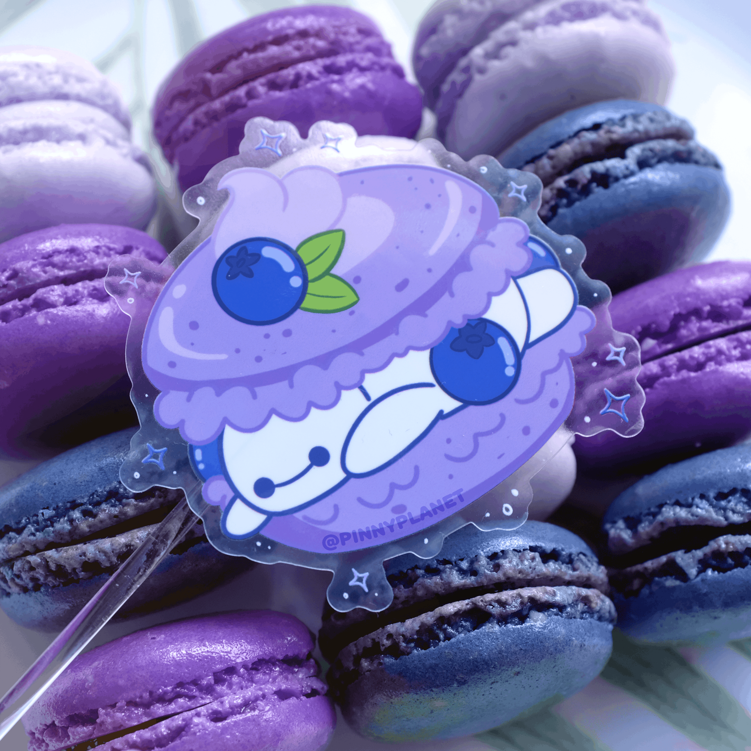 BlueMacaron_StickerPhoto2.png