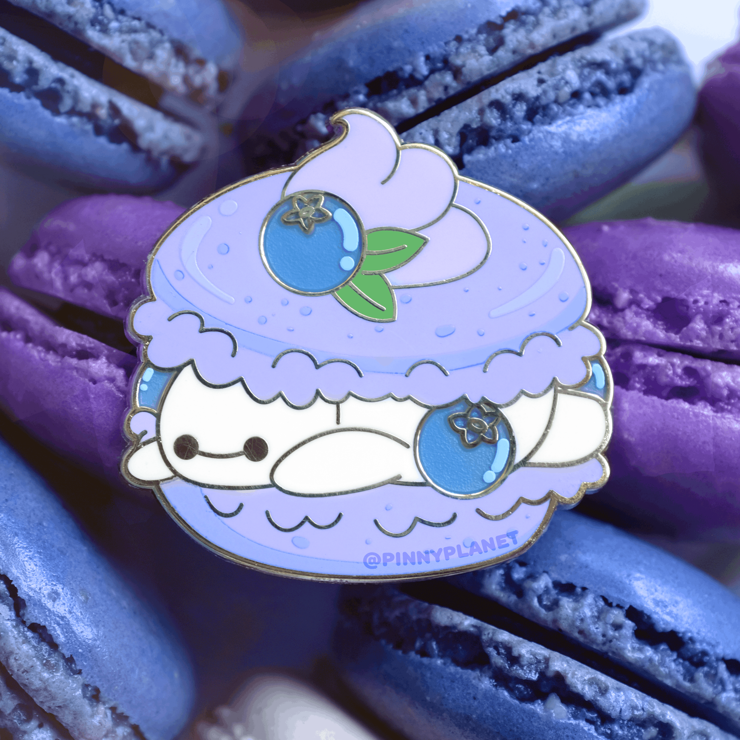 BlueberryMacaron_Photo1b.png