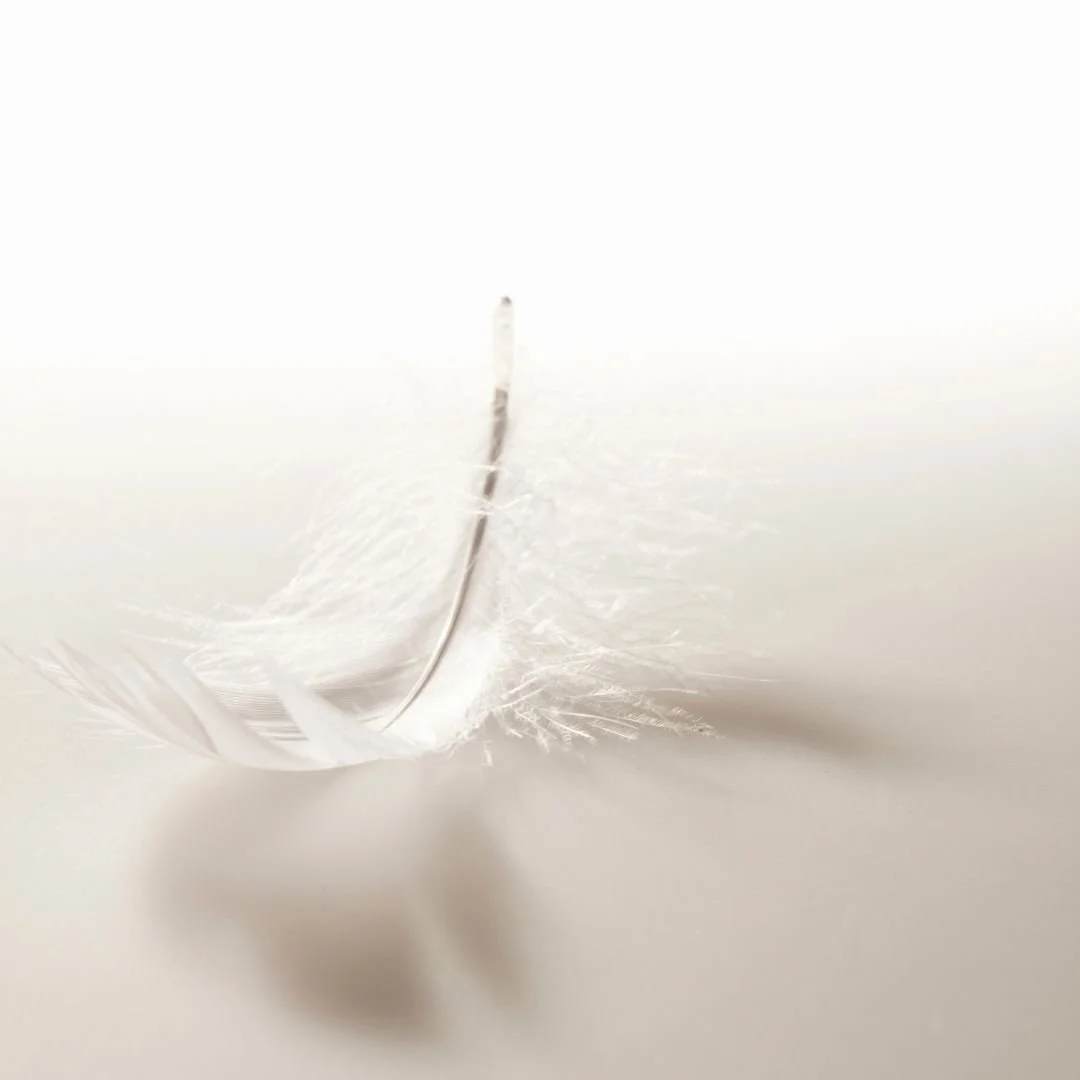 AngelPOSTS - 2024-05-06T155611.522.jpg