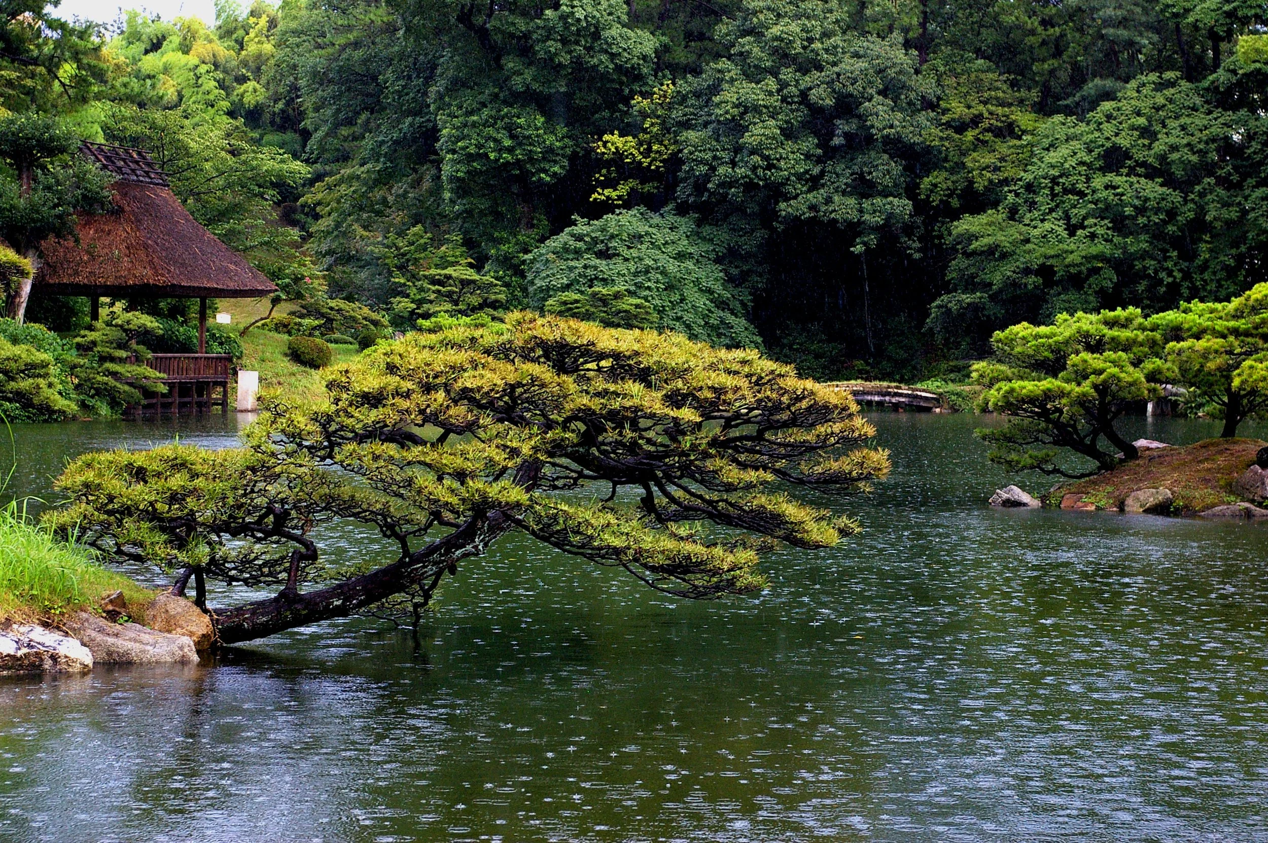 8 Hiroshima Garden 23a.jpg