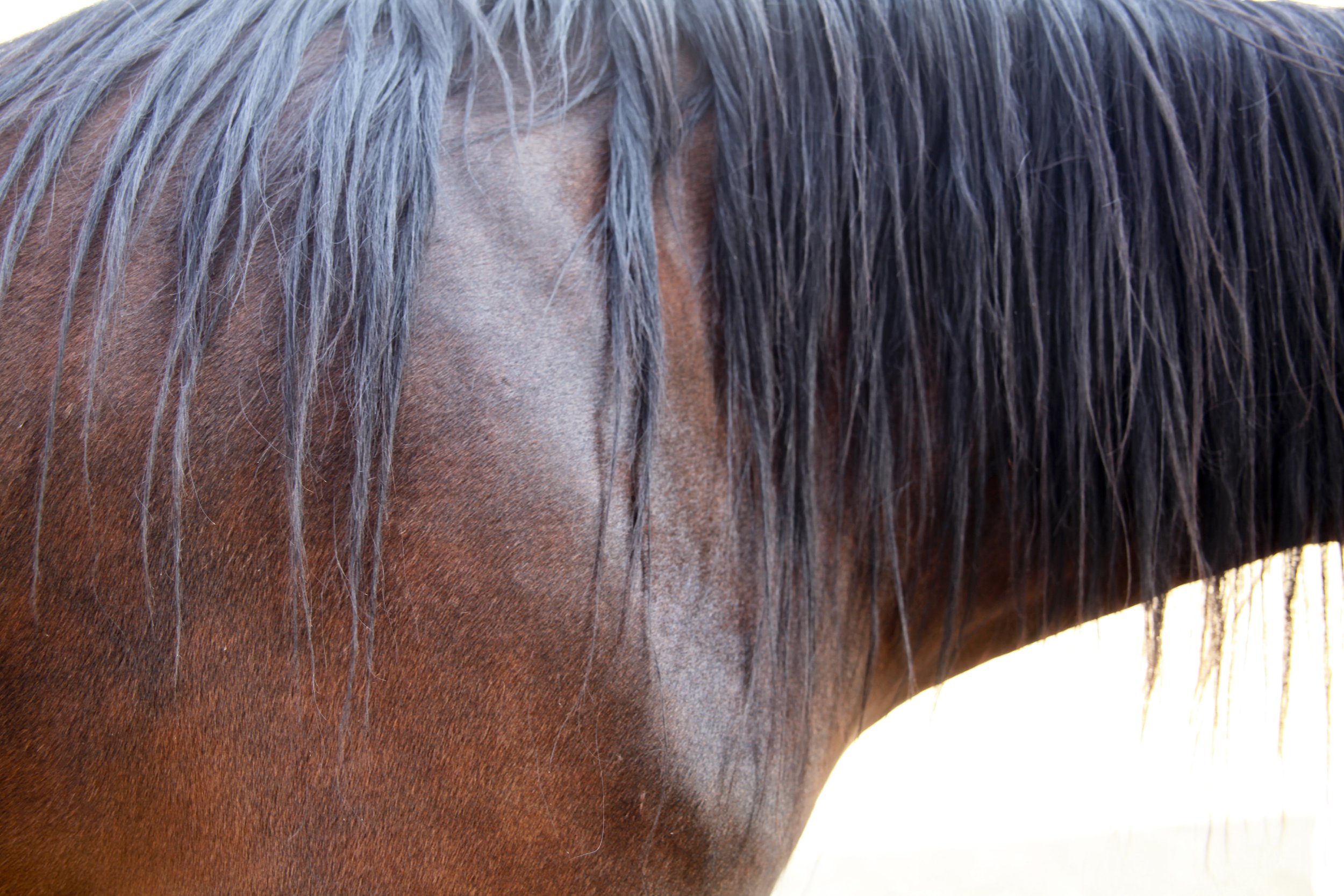 7 ESS Bay IMG_0838a@0.jpg