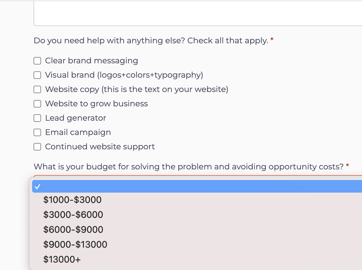 Squarespace scheduling form field options
