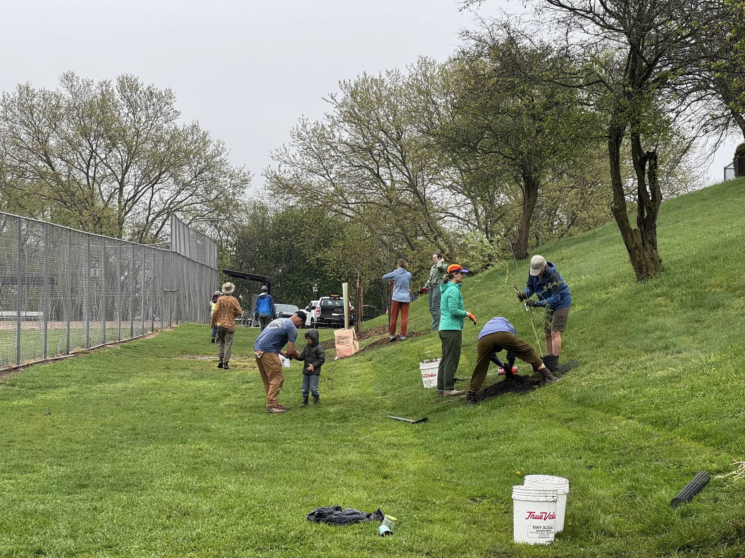 El Paso Tree Planting