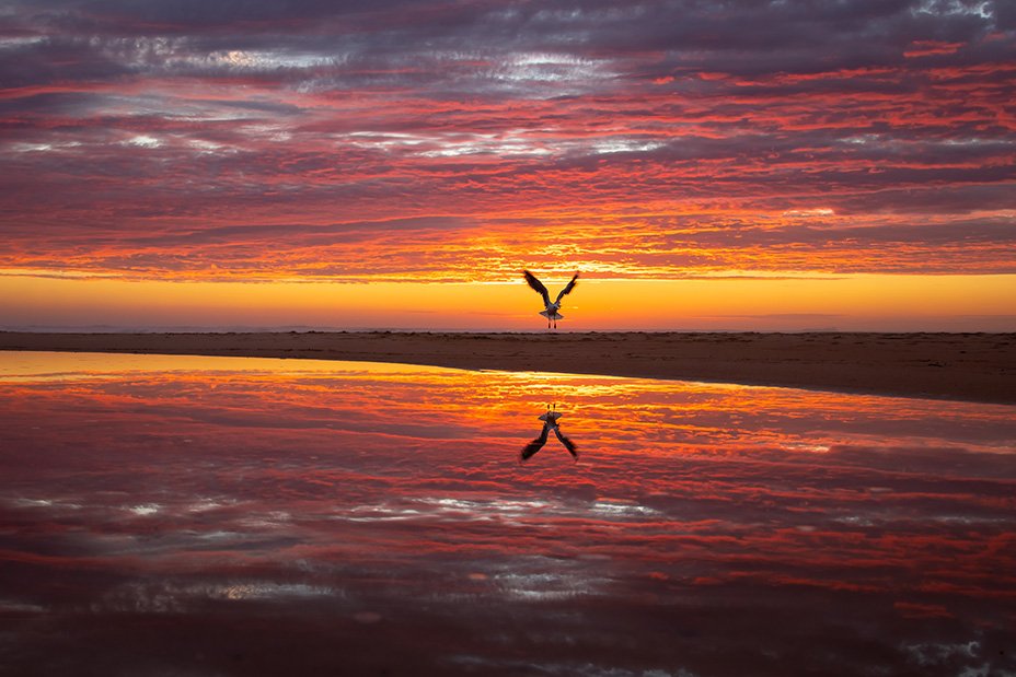 Glory Of Flight
