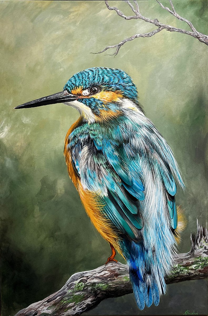 The Kingfisher