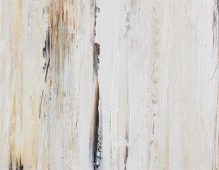 Tree Bark 2- unframed.jpeg
