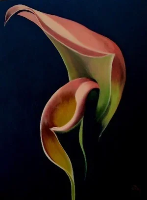 Carol-Ann Harrison