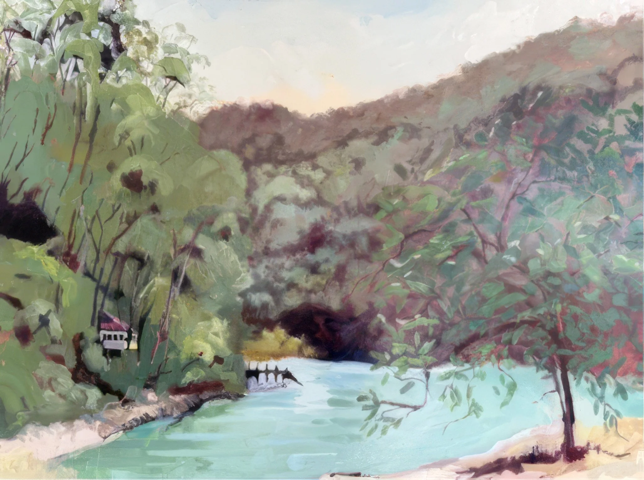 Salvation Creek