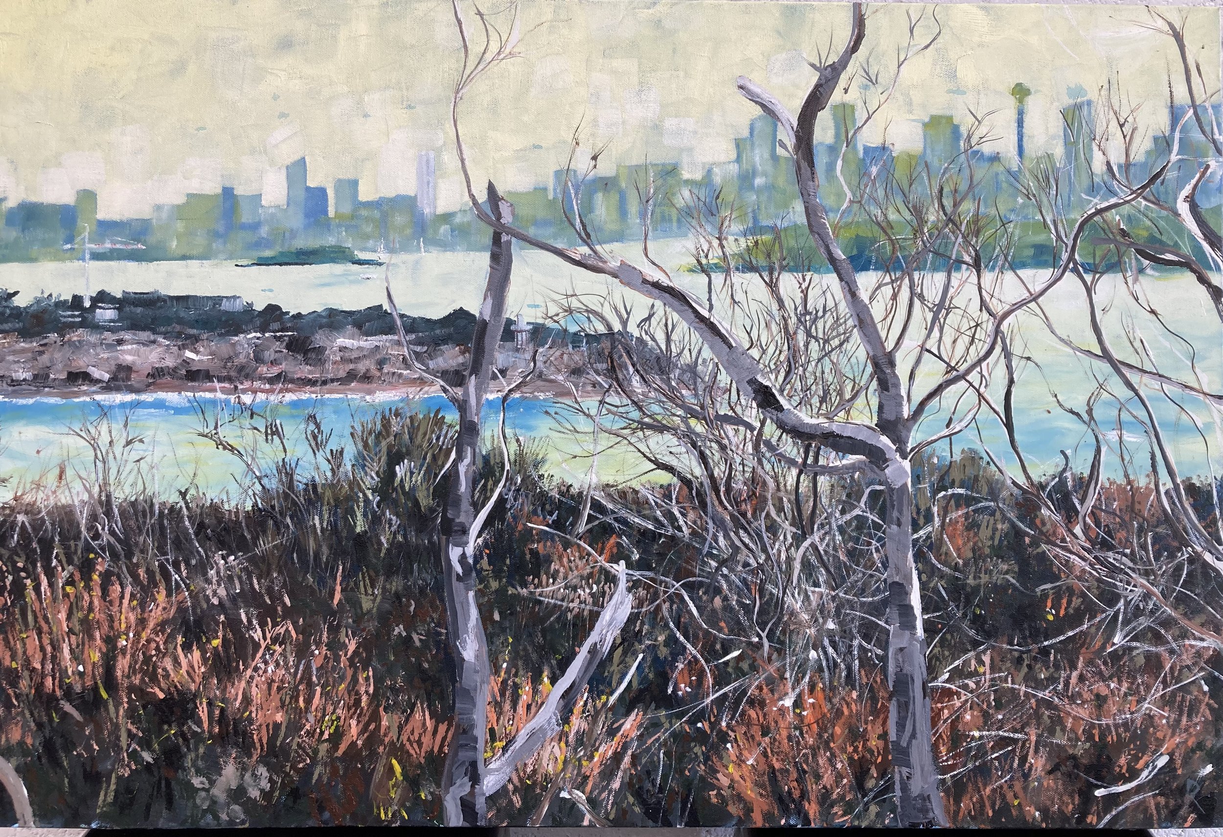 Sydney From North Head