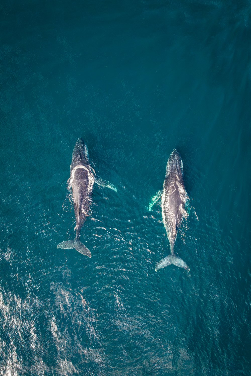 Together