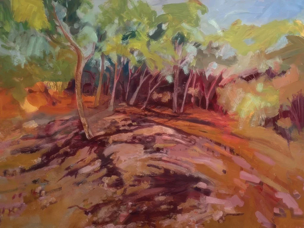 Walk To The Lake, Fowlers Gap
