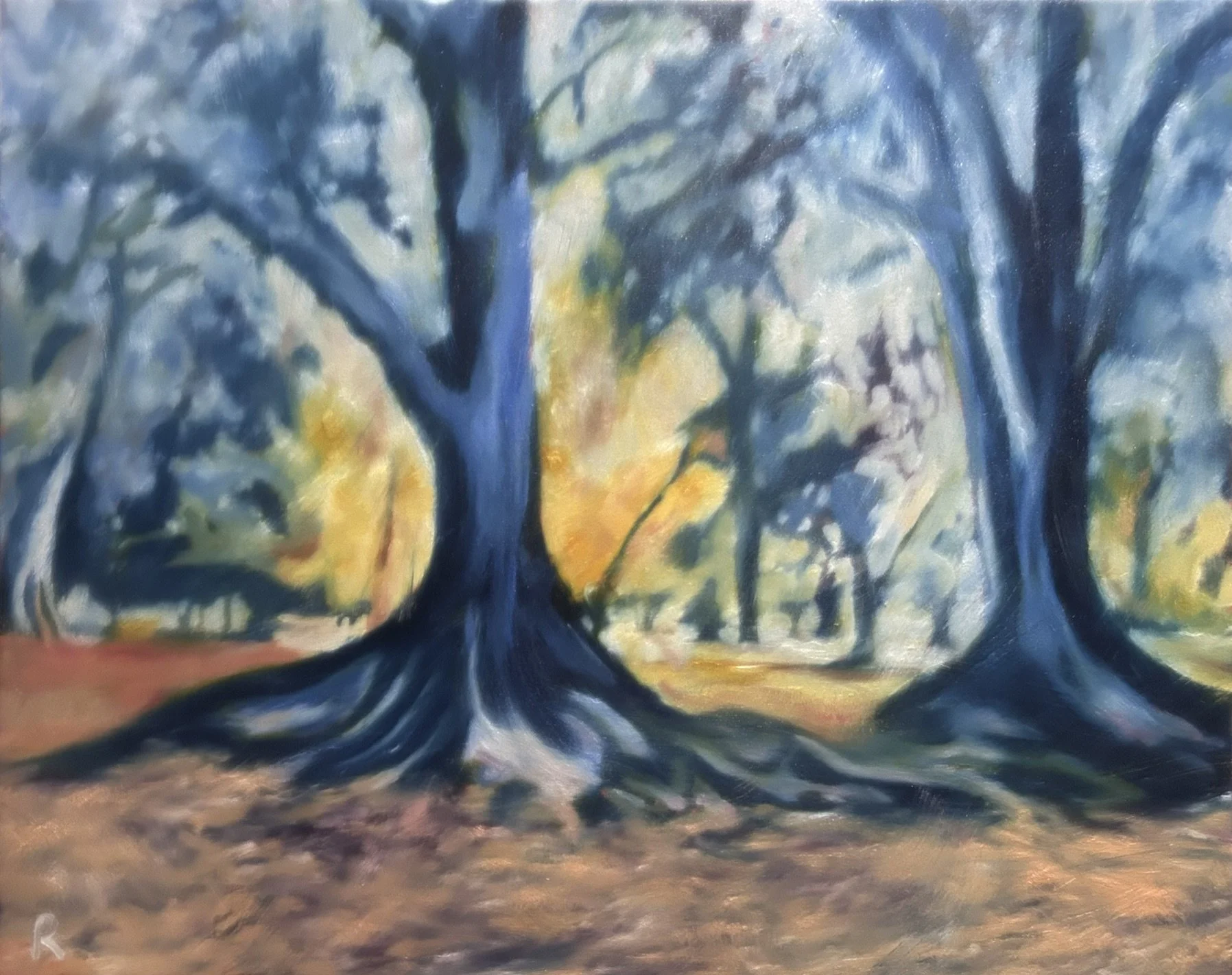 moreten bay figs.jpeg