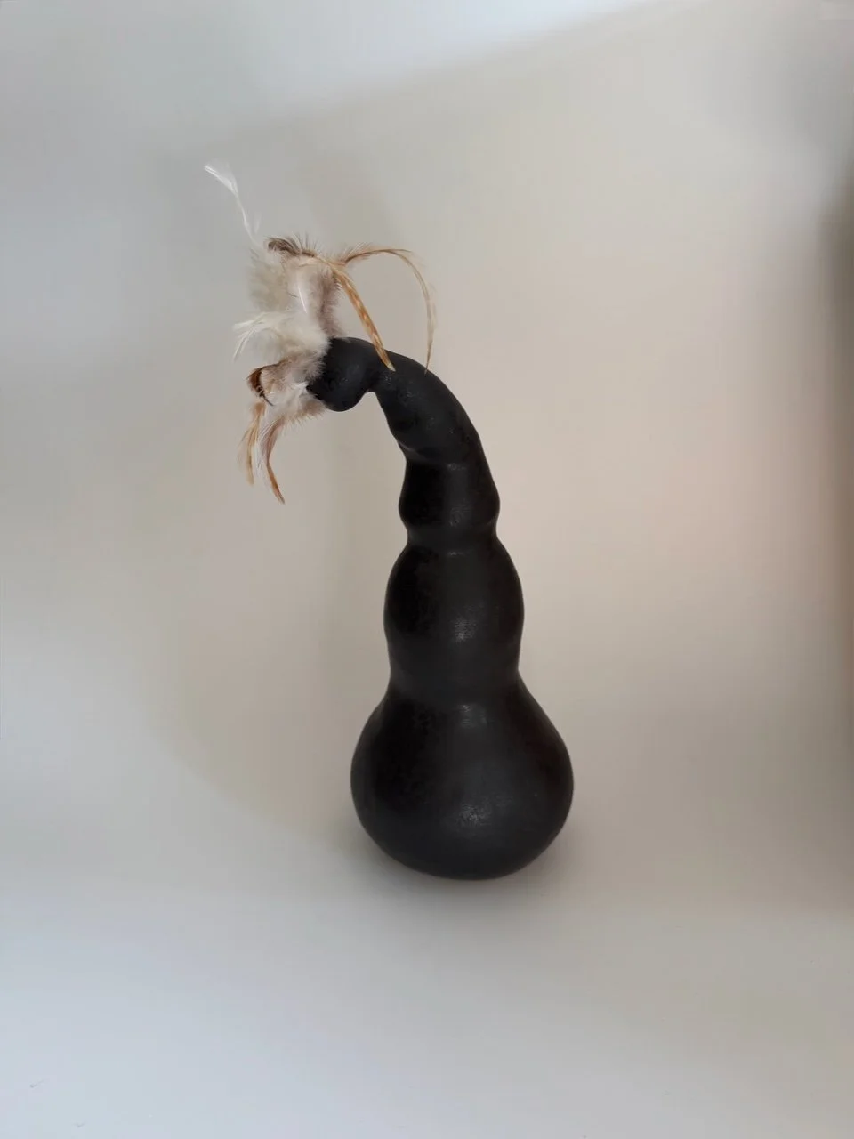 Black Cockatoos 2