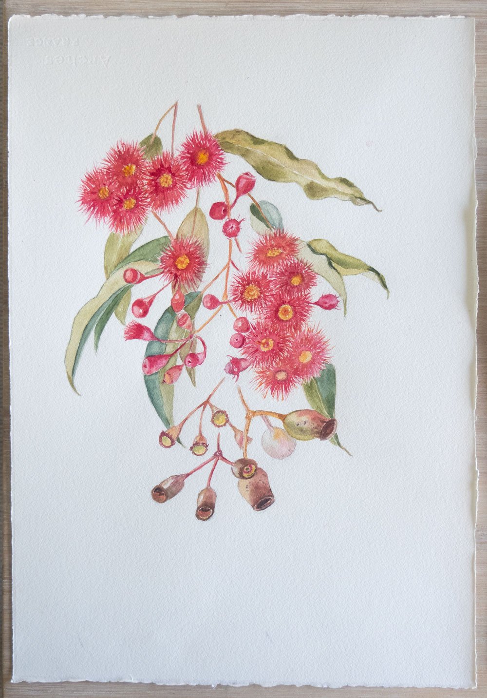 Summer Beauty Gum