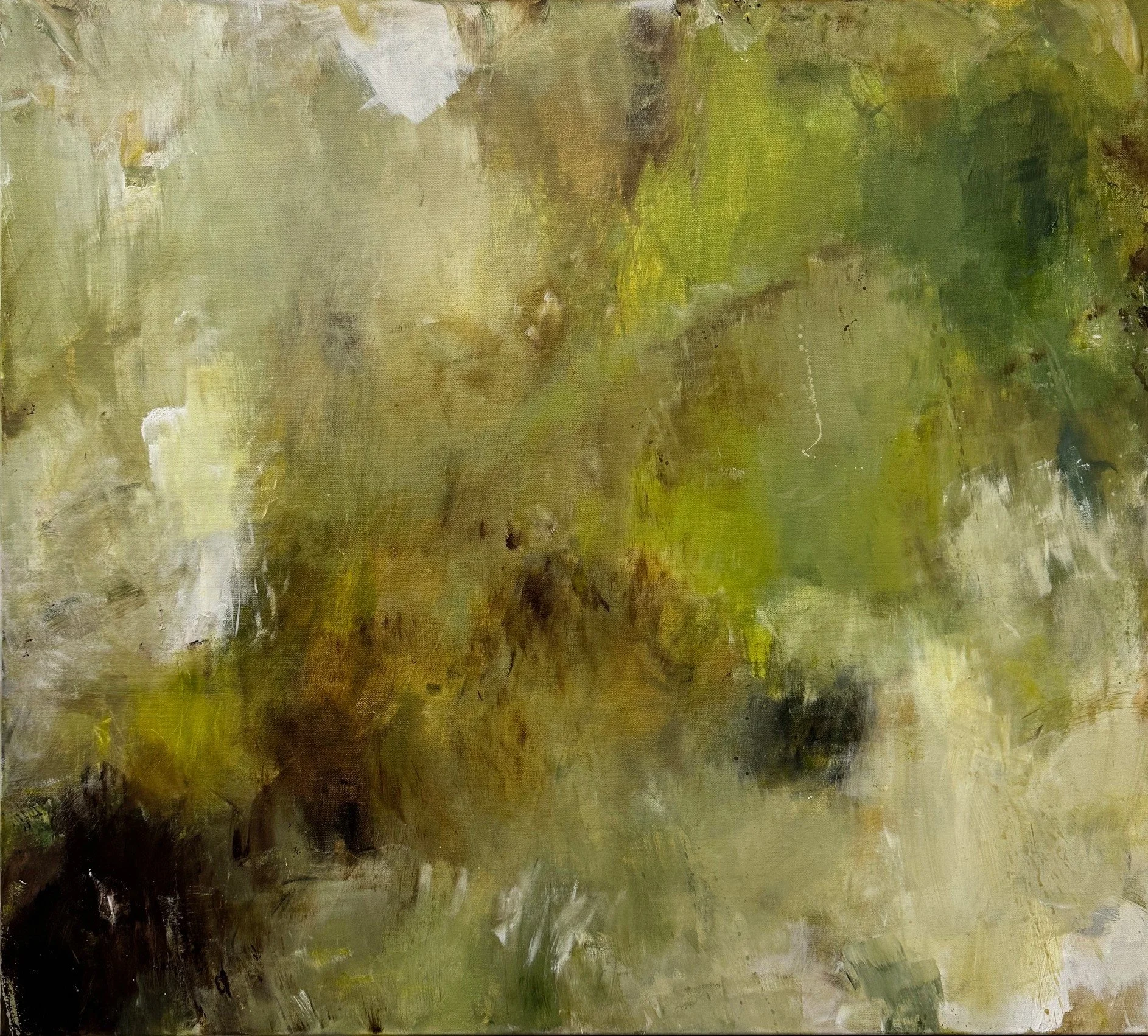 As The Light Unfolds