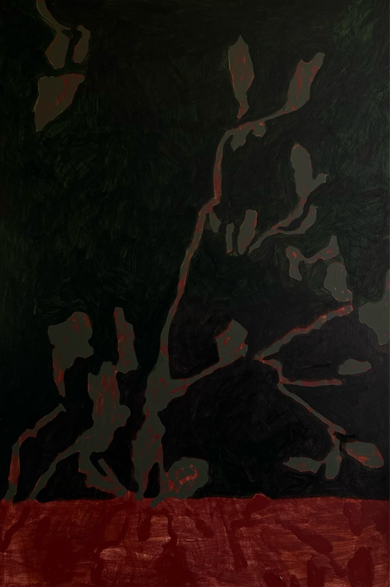 Night in Ku-Ring-Gai