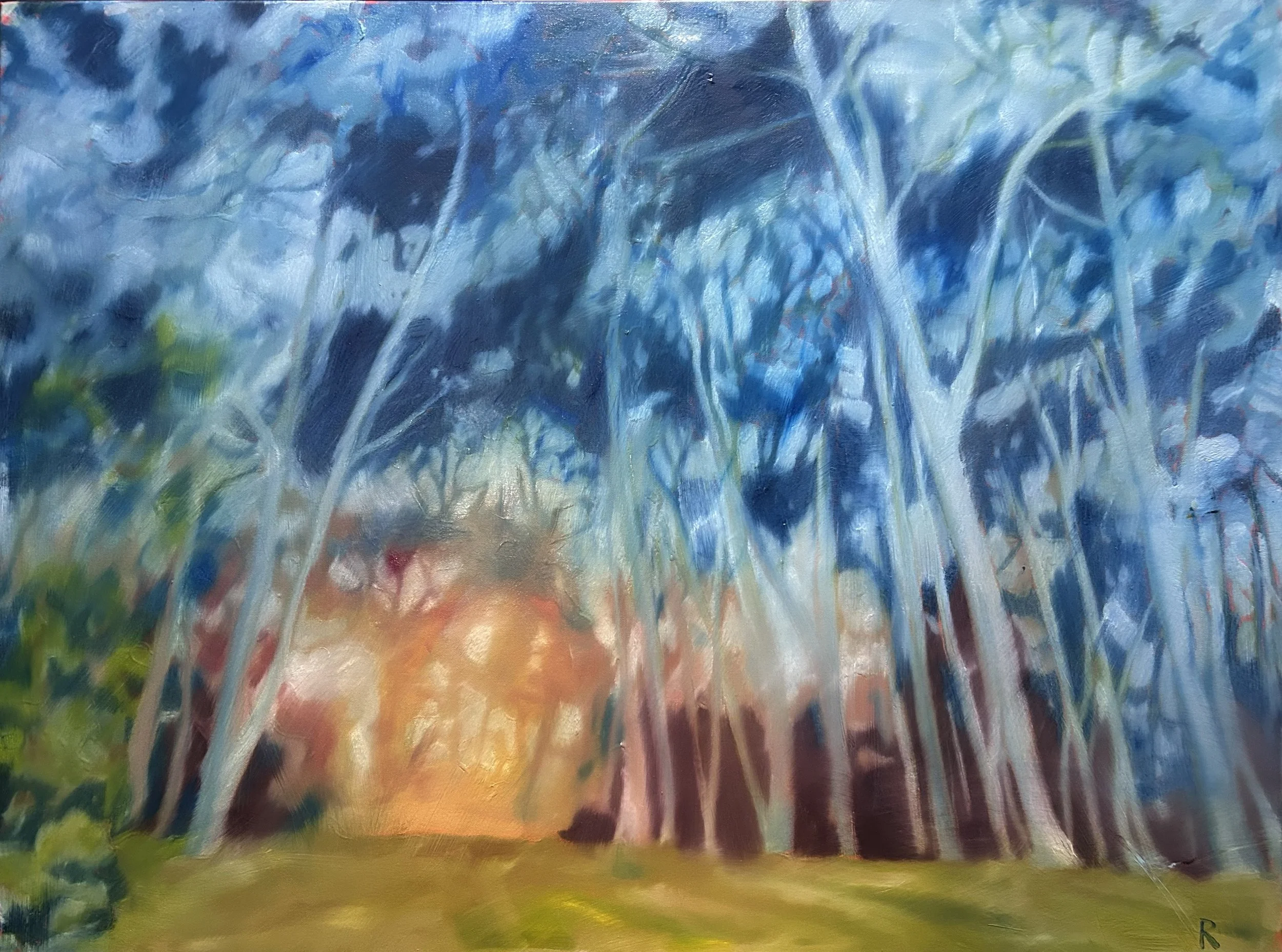 botanic park.jpeg