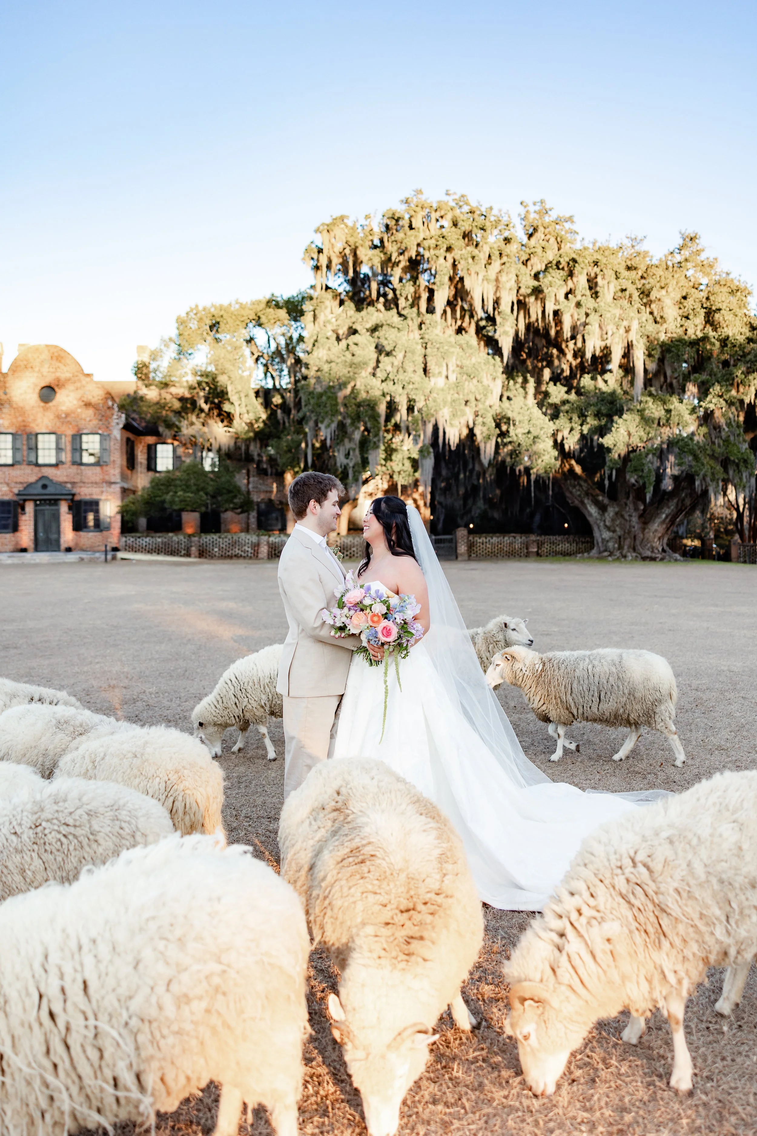 newly married couple smiling at each other with flowers and sheep at Middleton