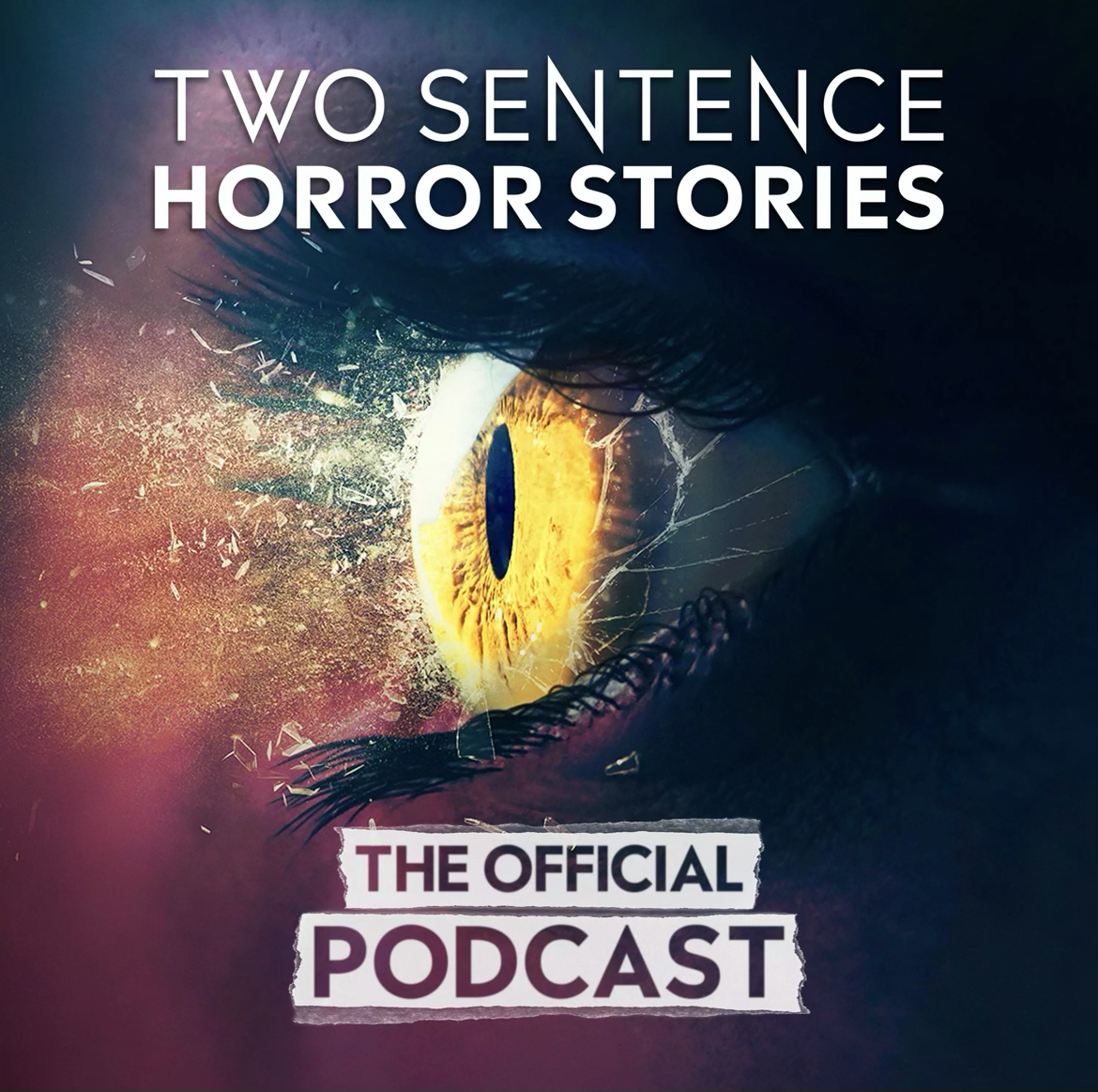 TWO SENTENCE HORROR STORIES: THE OFFICIAL PODCAST is an immersion into the unique worlds created by each episode of the hit anthology series that features the horror genre to tackle social and cultural issues. In each episode of this show companion p