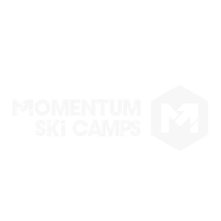 momentum copy.png