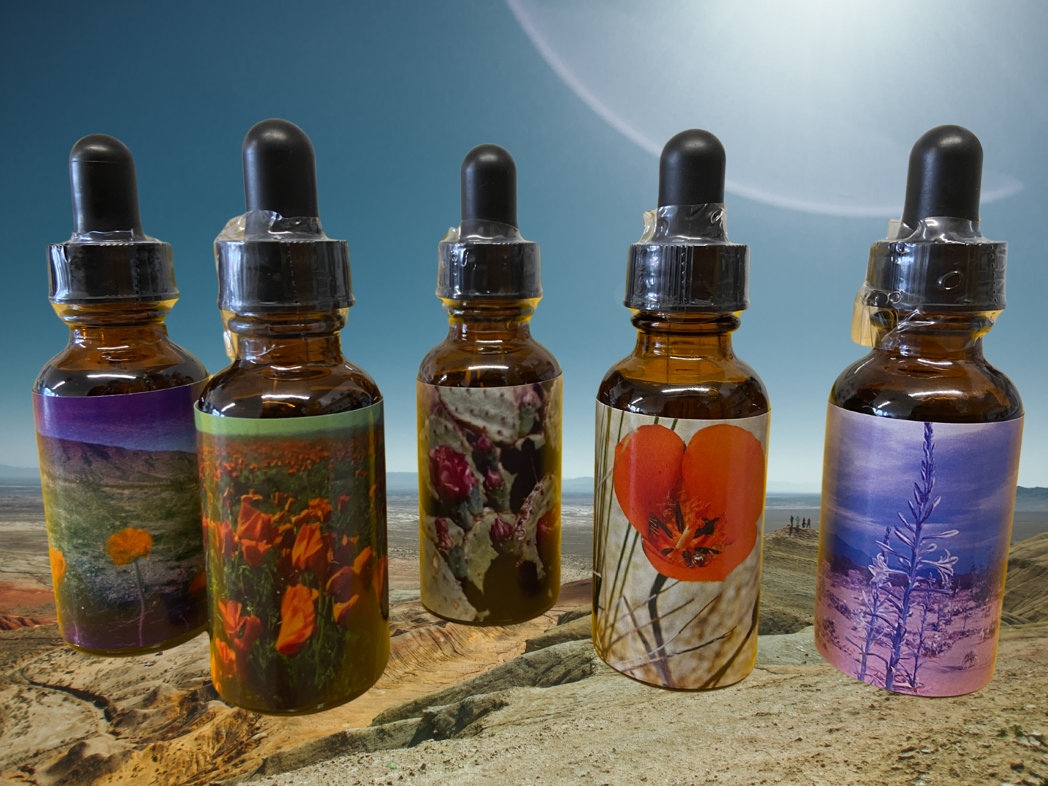 FLOWER ESSENCES & ZINES