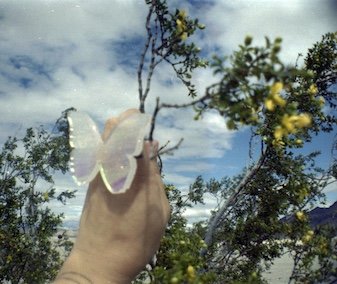 creosote and marina fini ring on 110 film