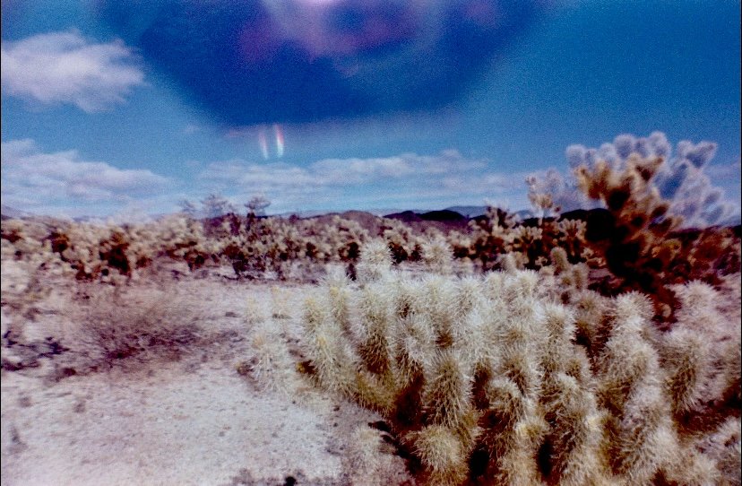 double exposure + prism on 35mm sardina camera