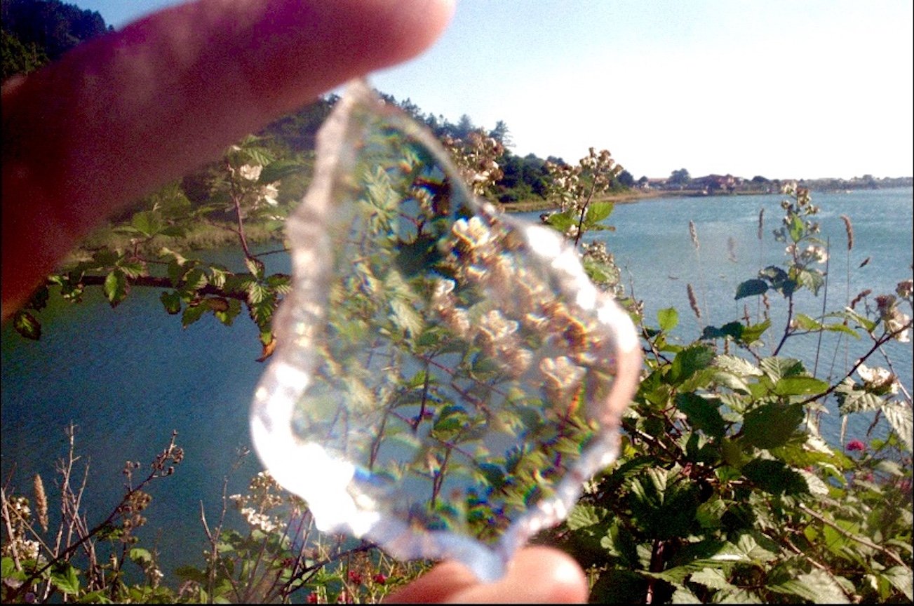 blackberries and prism on oregon coast - 400iso