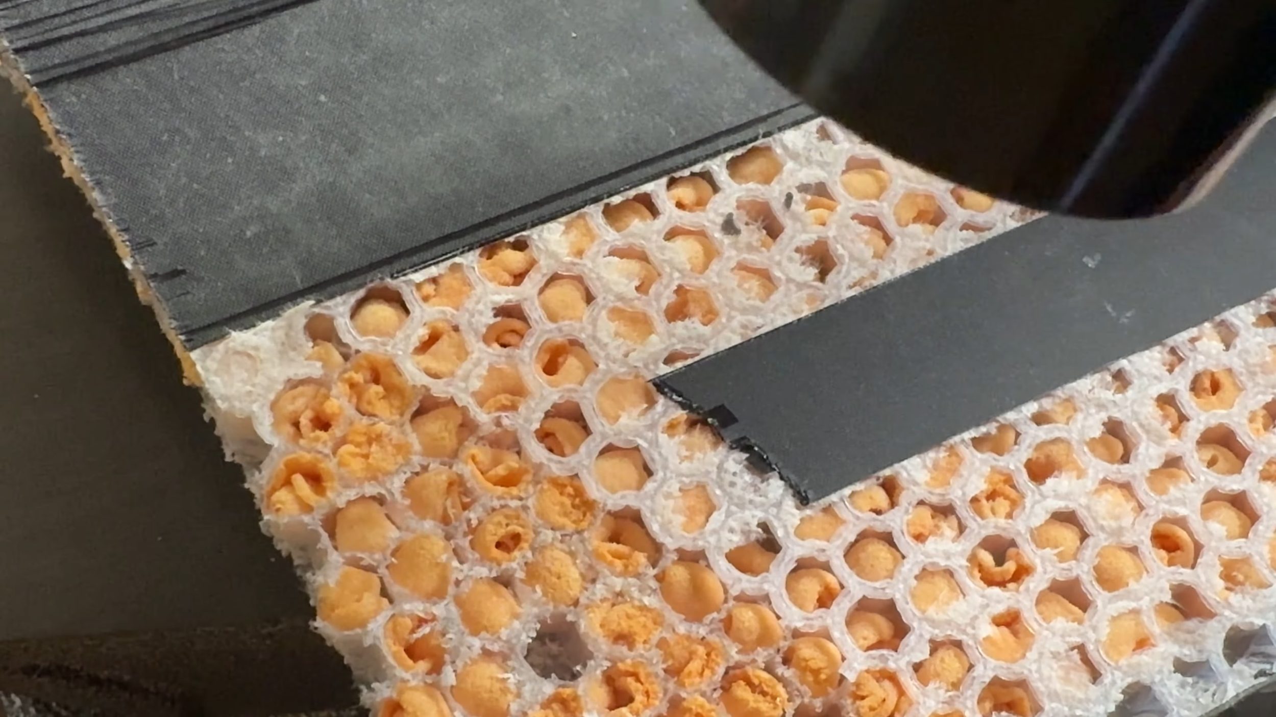 Cross-section of Spartus Olympus pickleball paddle showing honeycomb core with foam-injected cells