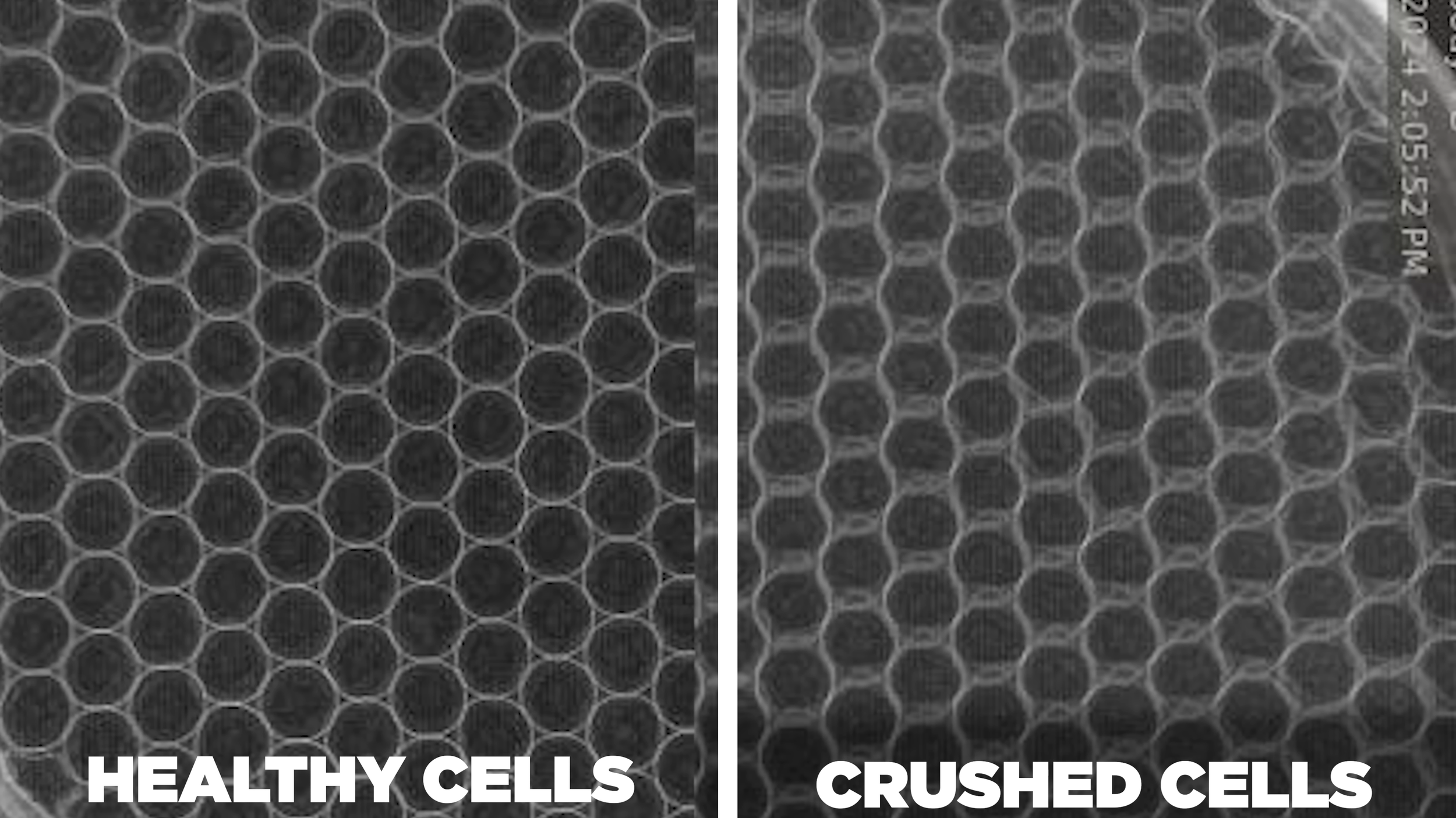 Side-by-side X-ray comparison of healthy honeycomb cells versus crushed cells in a pickleball paddle core