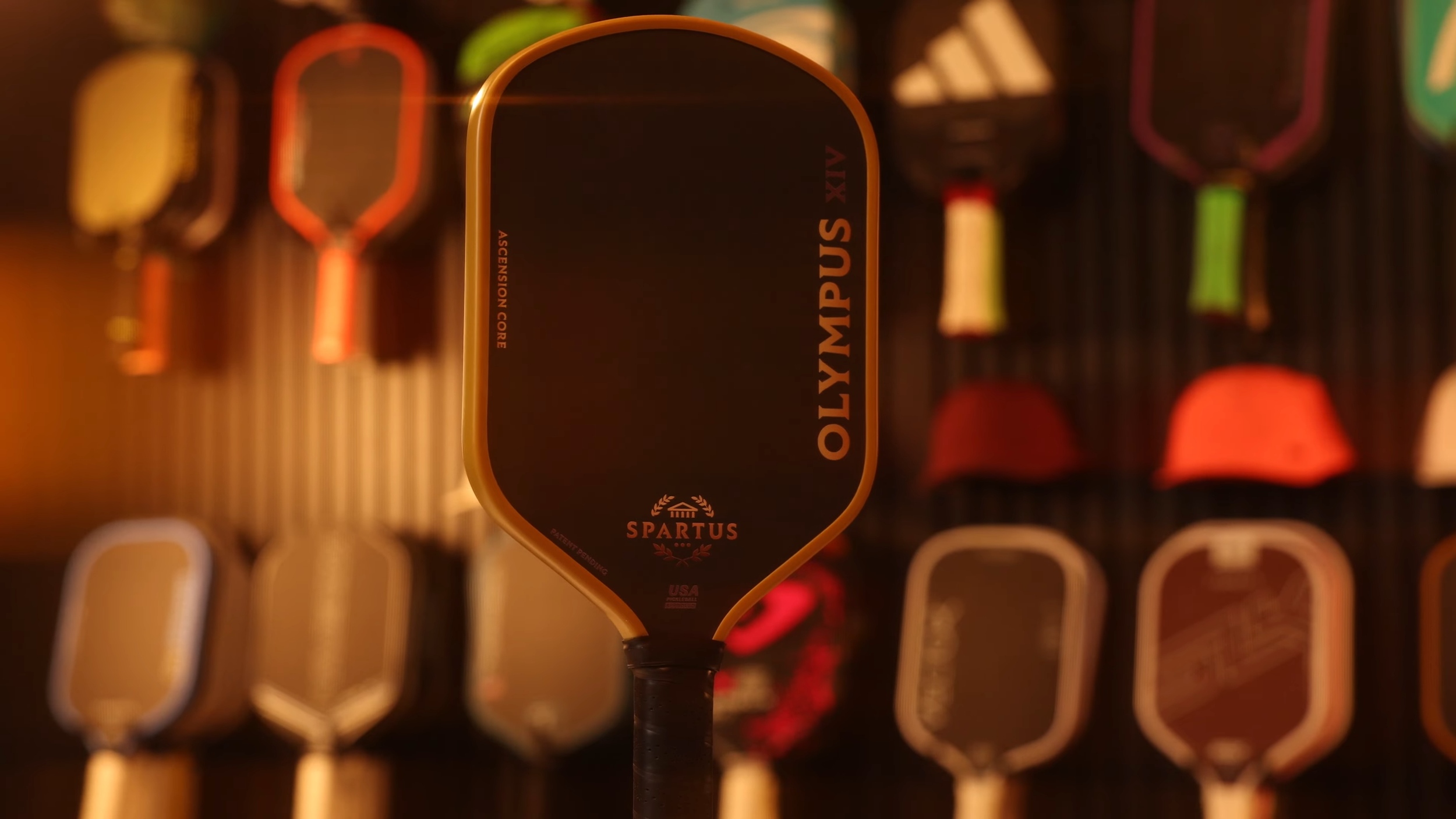 Spartus Olympus pickleball paddle with gold edge guard displayed in front of paddle wall collection