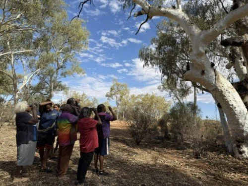 KFDF Country and Community Update Newsletter