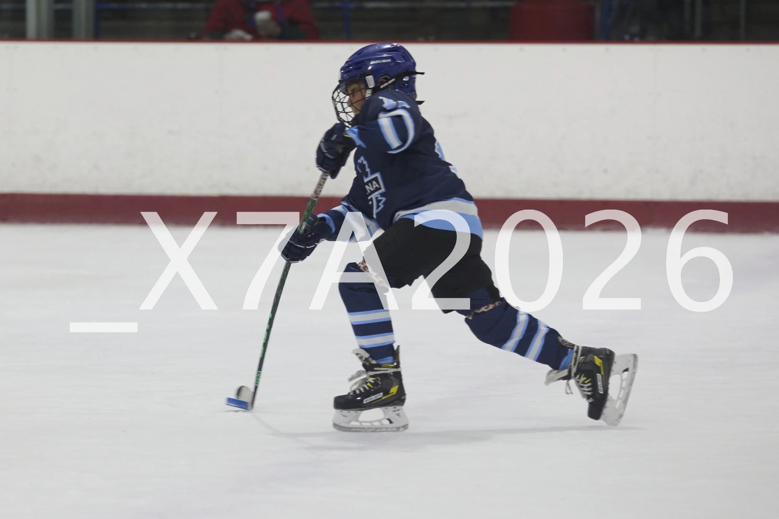 _X7A2026.jpg