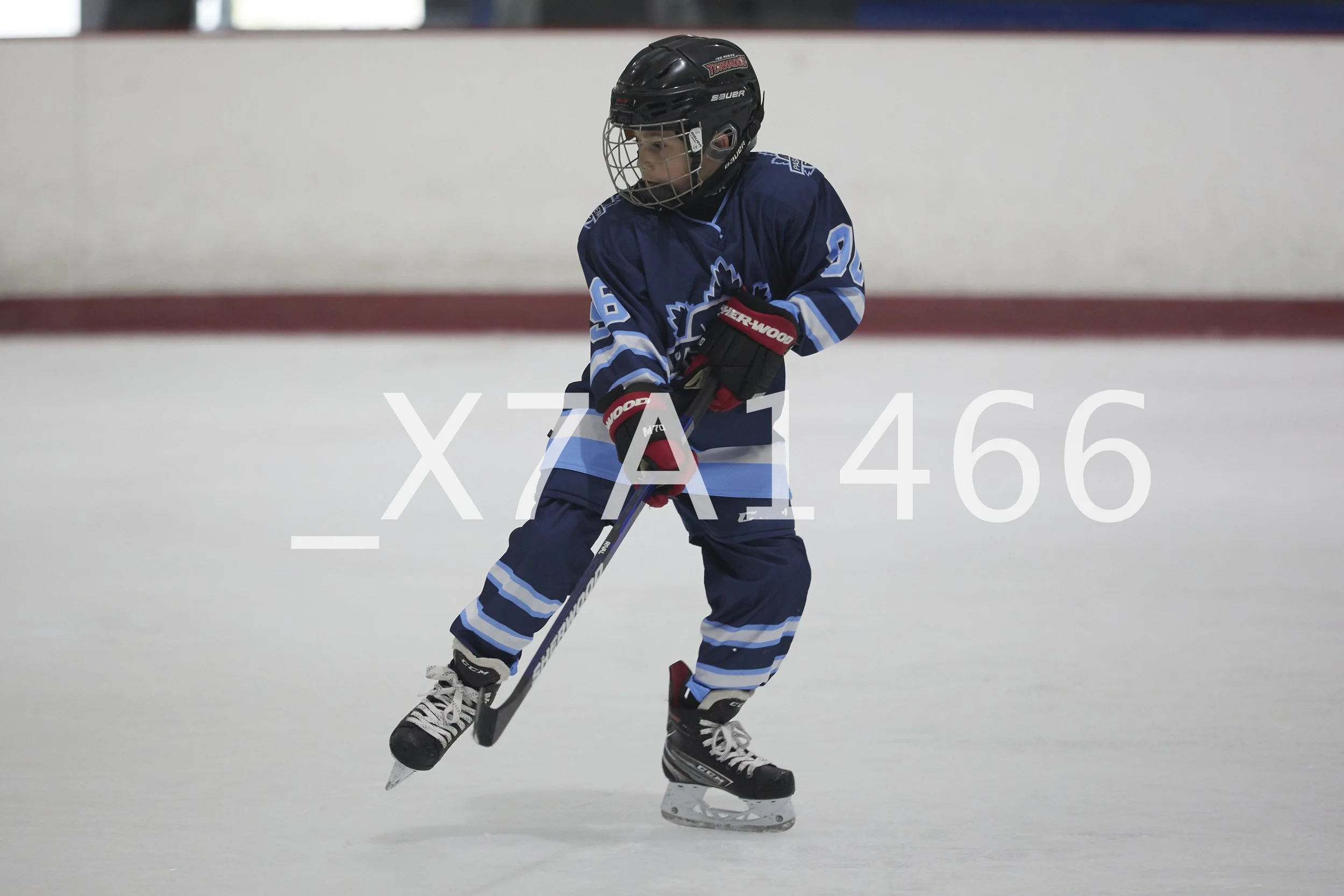 _X7A1466.jpg