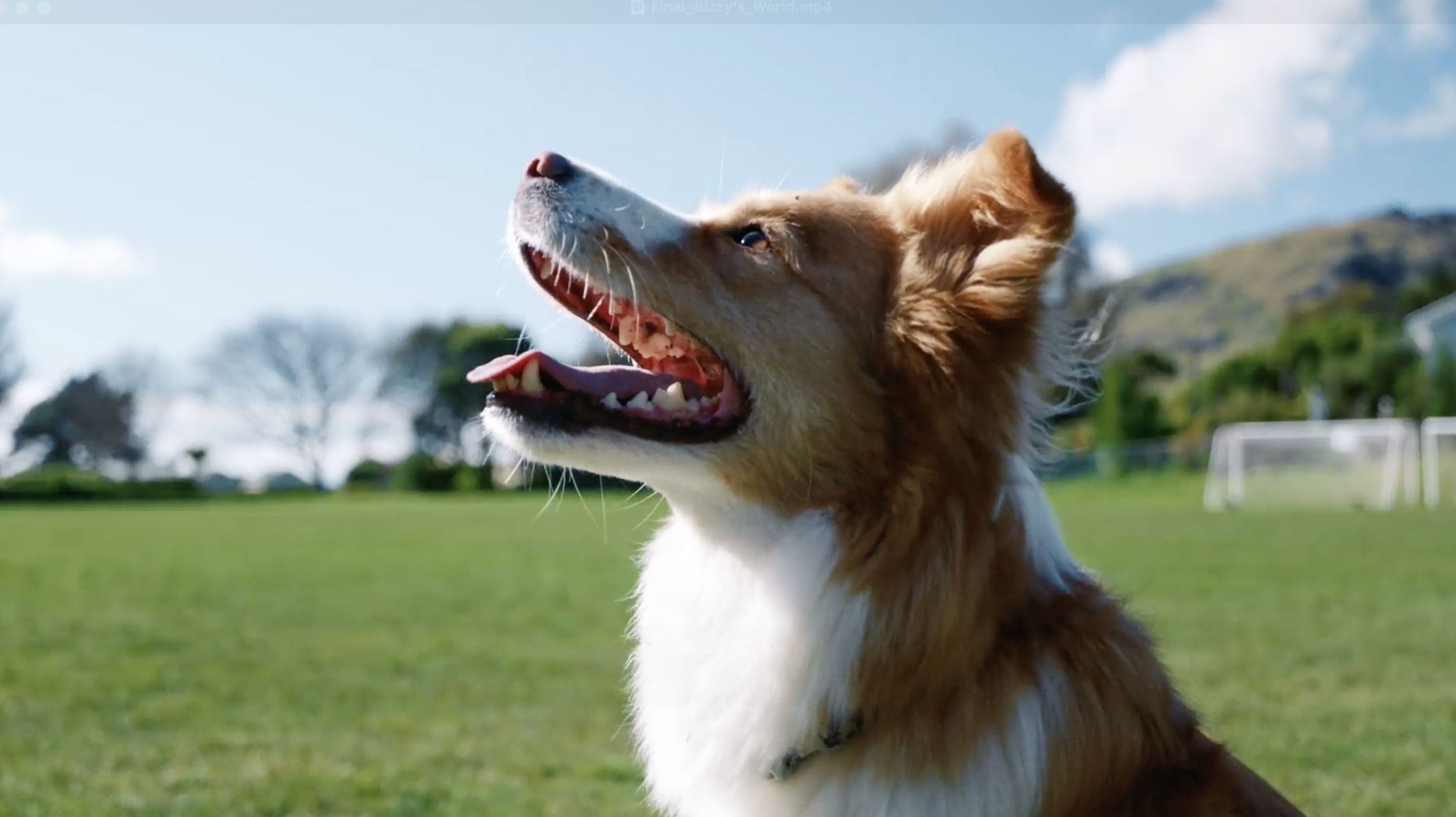 Bizzy's World fund raising video