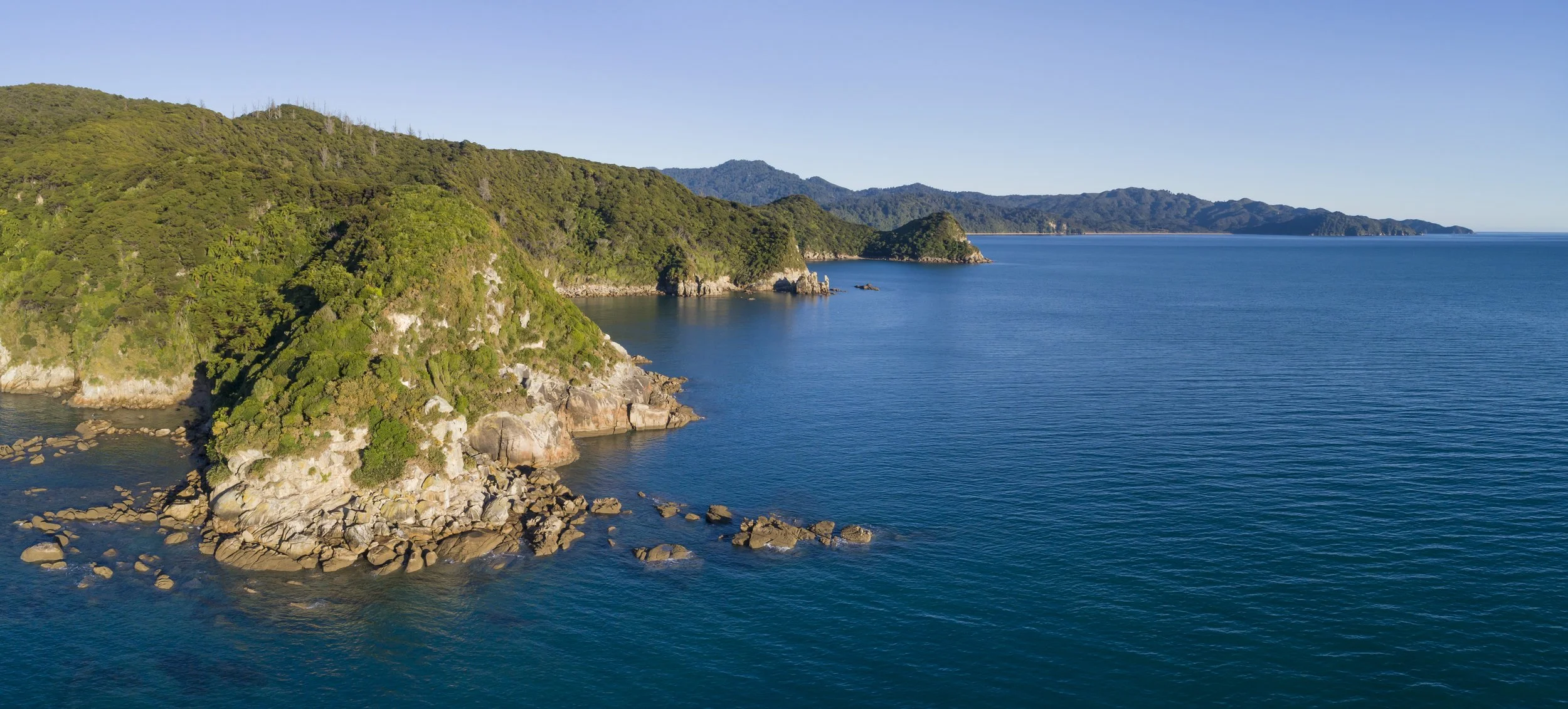 Abel Head Pa and Cabbage  Tree.jpg