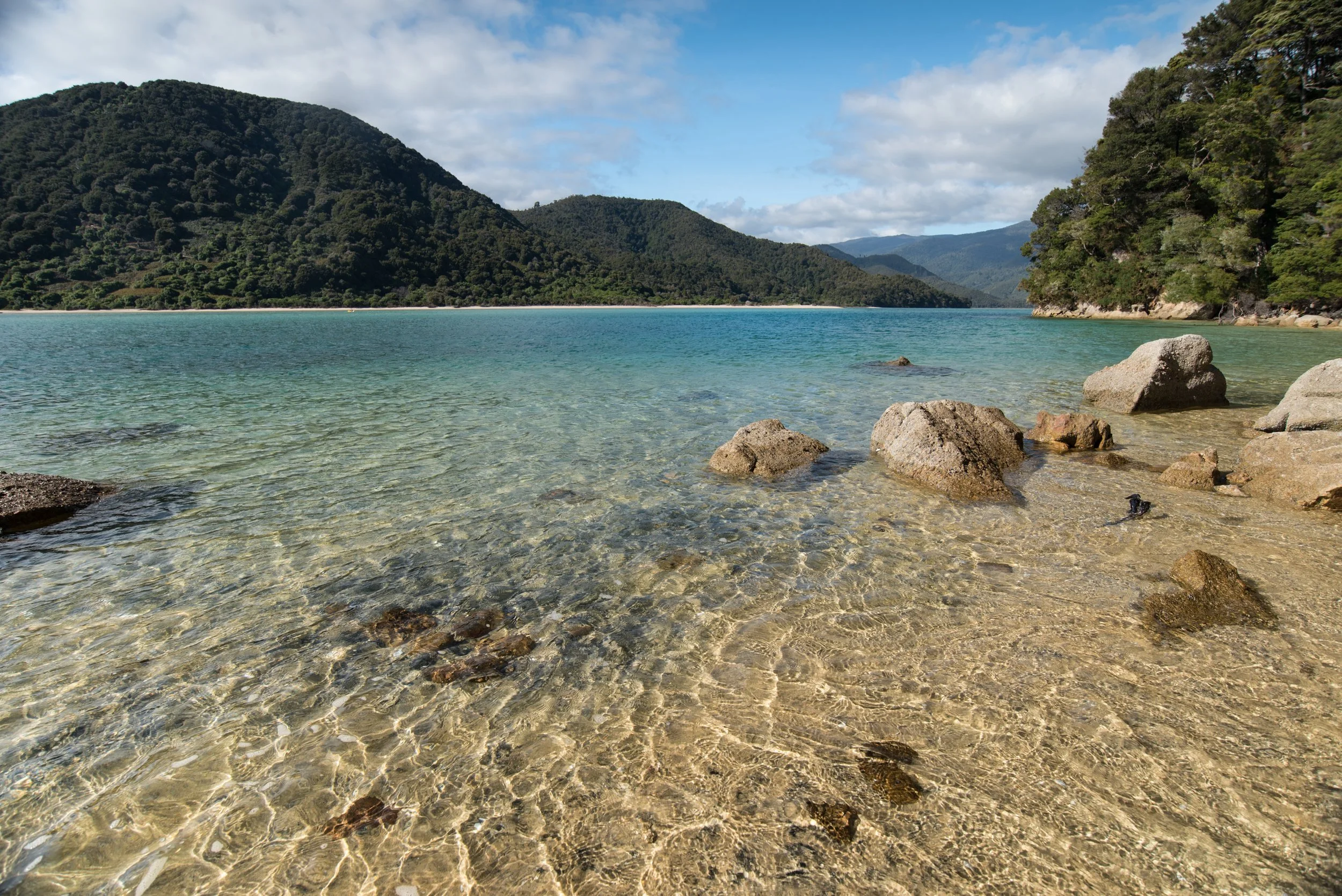 Awaroa Inlet 3 credit fernphotos.com Ruth Bollongino.jpg