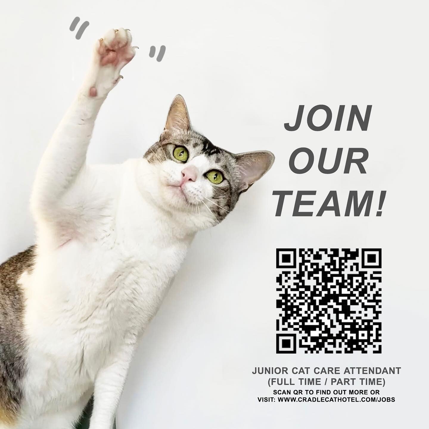 We&rsquo;re looking for new members to join our team! Visit www.cradlecathotel.com/jobs for more details. 
#cradlecathotel #hellomeowmeow