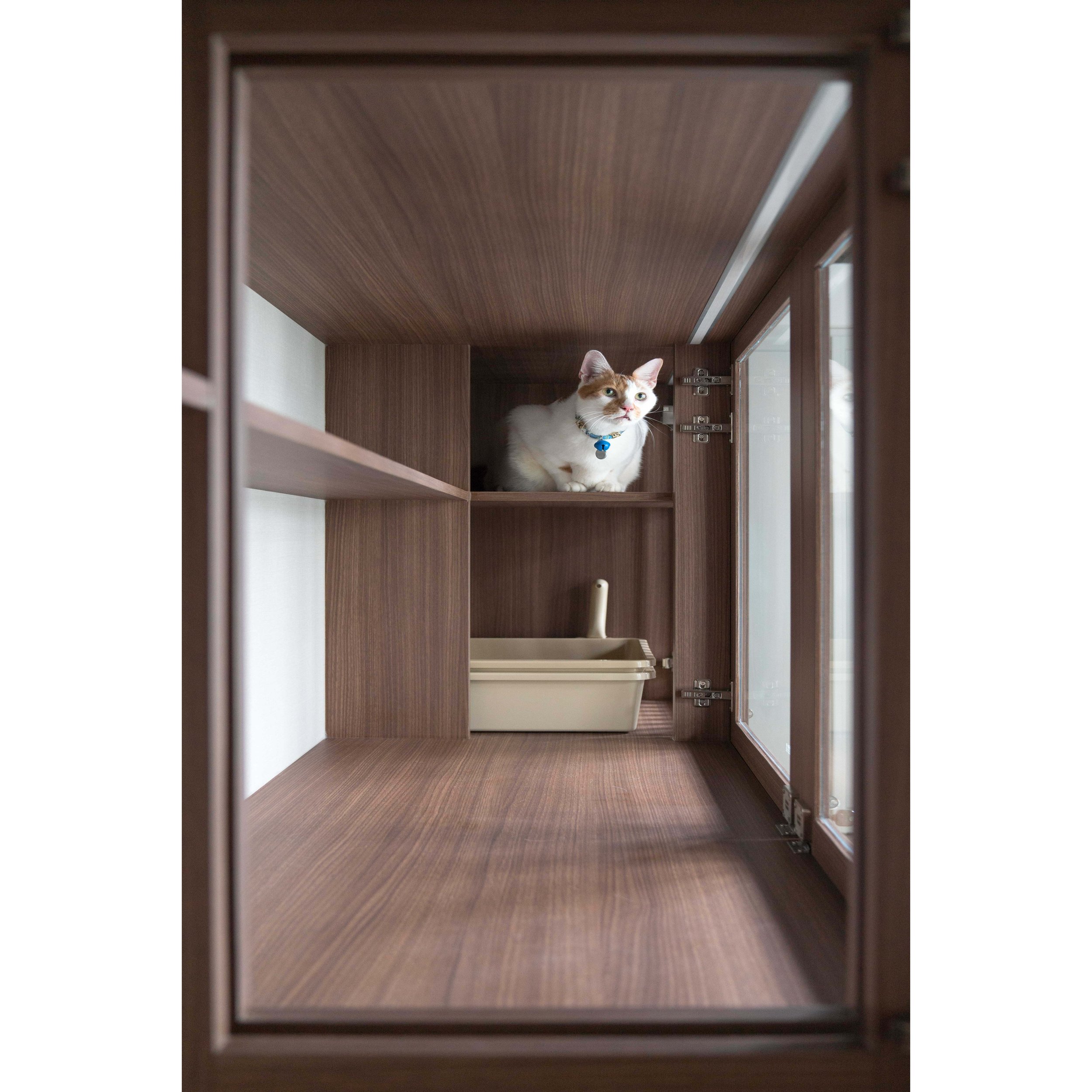 Tisoy Garden Apartment 2.jpg