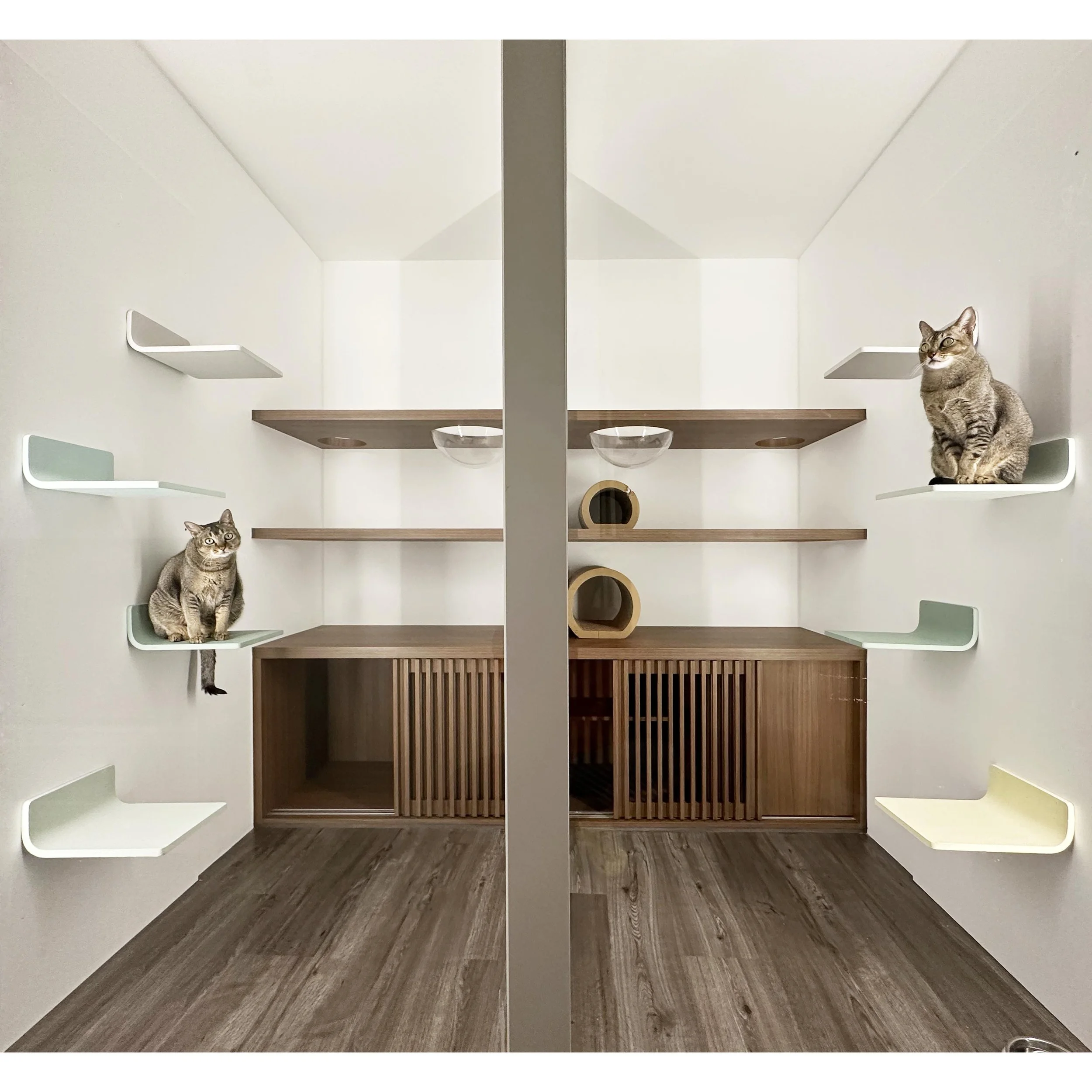 Cradle Suites side by side