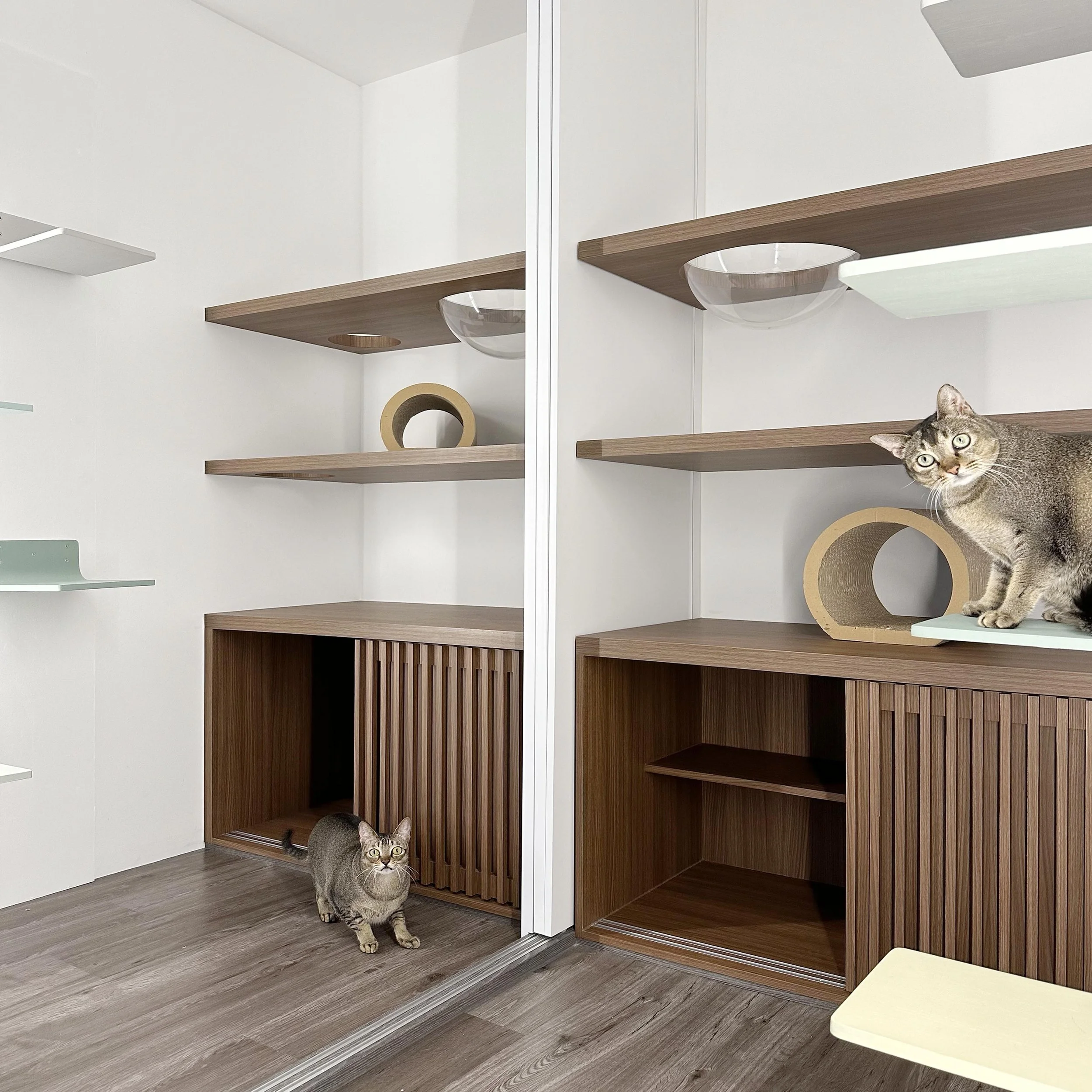 Adjoined Cradle Suites