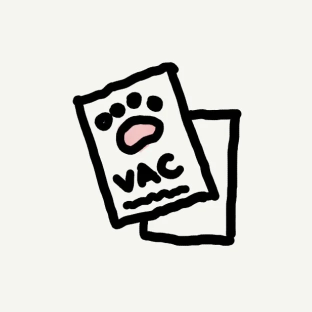 Boarding Preparation Cradle Cat Hotel Cradle Cat Hotel Singapore