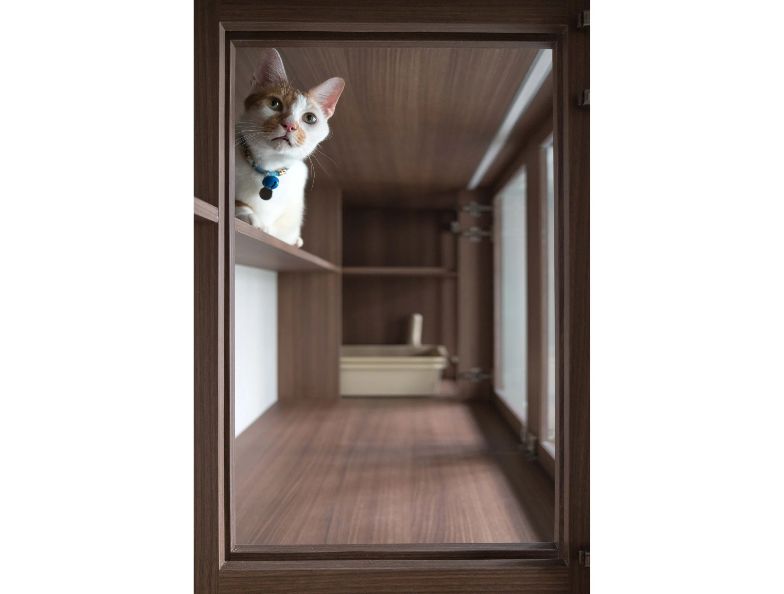 Garden Apartment 2.jpg