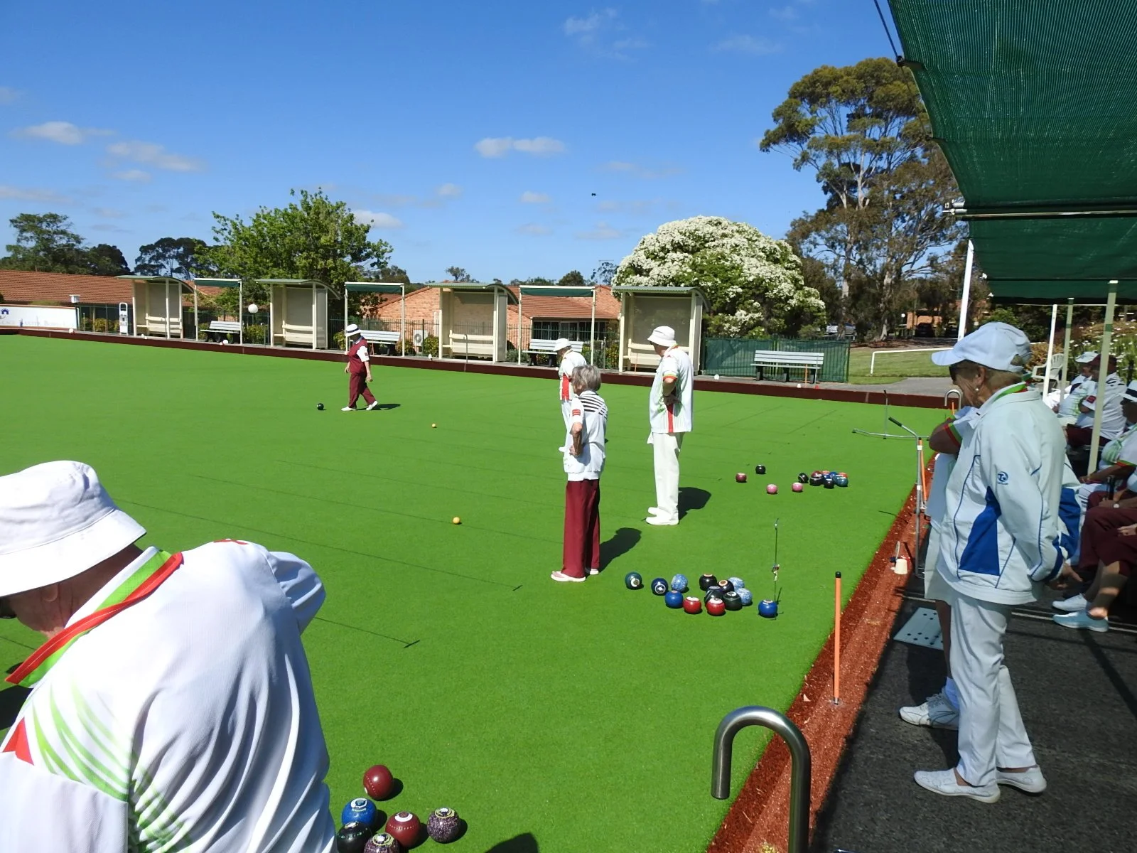 2018-12-11 A beautiful day at the village green.JPG