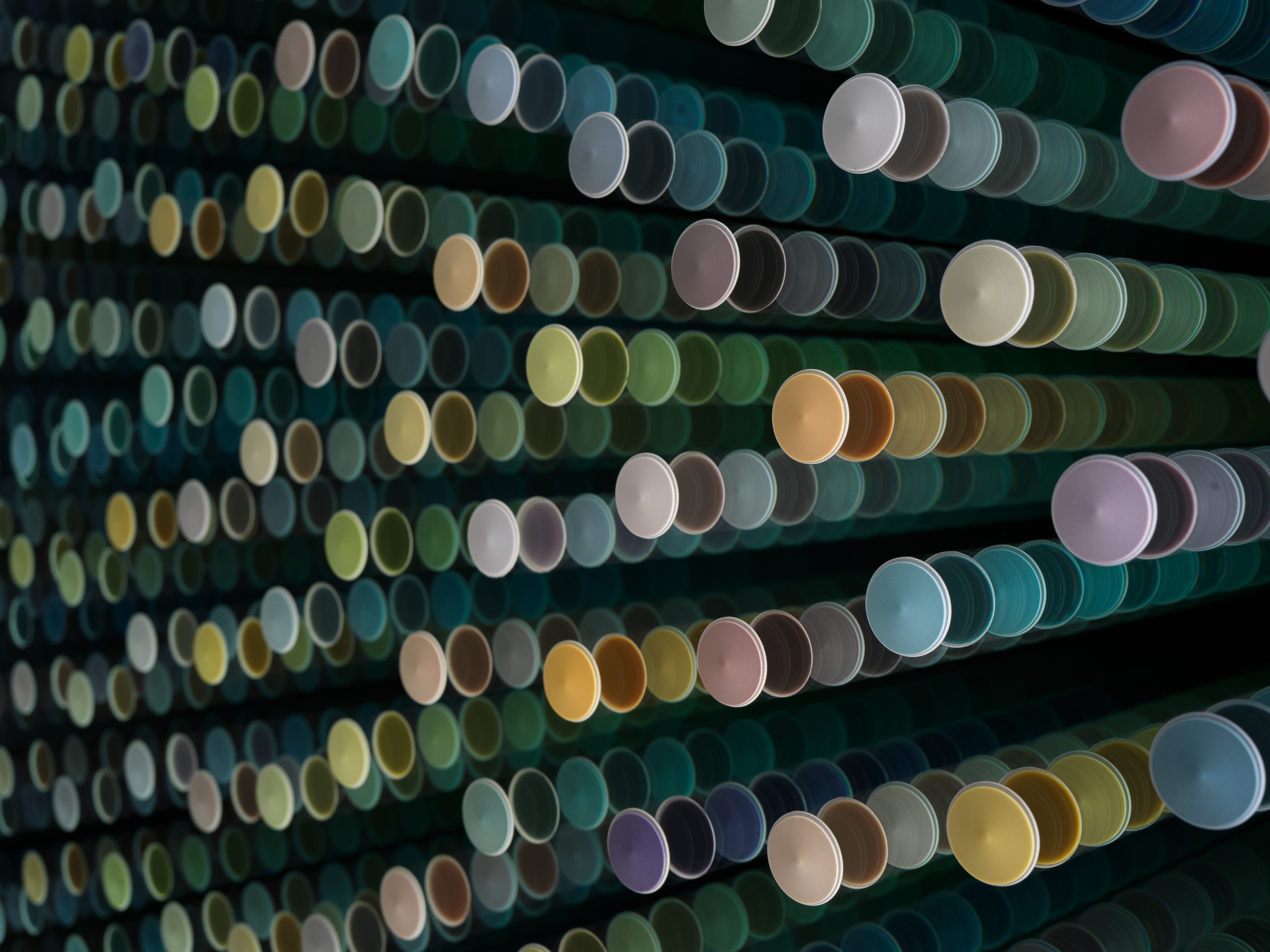 Max Patté - Radiant Winter Lights 2022