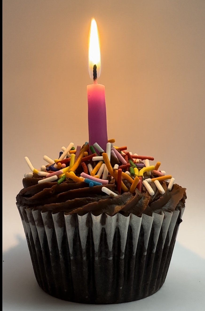 Chocolate Cupcakes with sprinkles