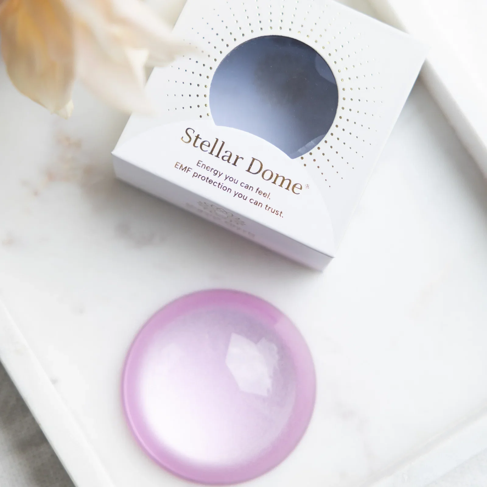 Stellar Dome
The Stellar Dome® may be compact, but its technology is designed to deliver powerful, whole-property harmonisation. Using Orgone Effects® exclusive technology, the Stellar Dome® generates a healthy negative charge designed to counterbala