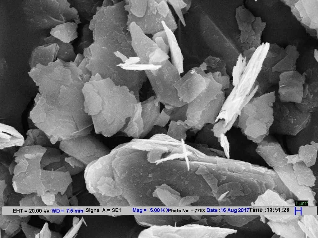 Higher-magnification SEM image showing the fine lamellar structure of talc particles