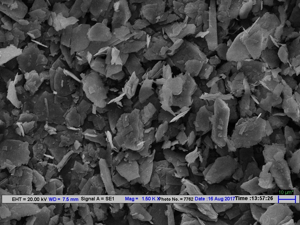 Lower-magnification SEM image showing the overall distribution of platy talc particles